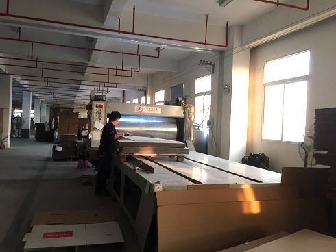 《一口气看完偷渡的女人》午夜高清完整版7