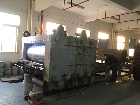 《一口气看完偷渡的女人》午夜高清完整版5